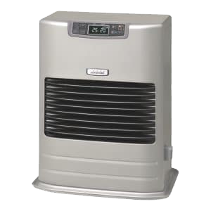 FF type heater